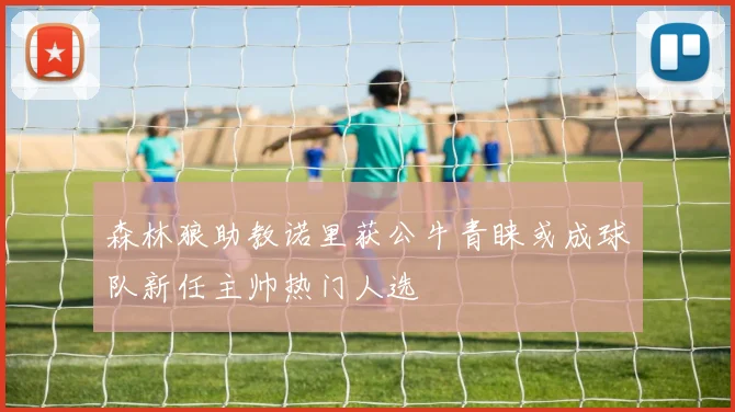 森林狼助教诺里获公牛青睐或成球队新任主帅热门人选