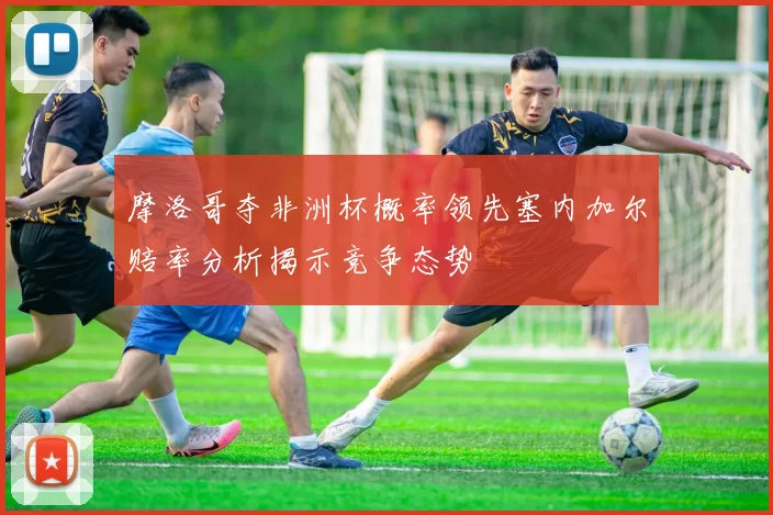 摩洛哥夺非洲杯概率领先塞内加尔赔率分析揭示竞争态势