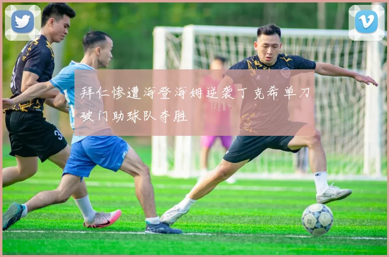 拜仁惨遭海登海姆逆袭丁克希单刀破门助球队夺胜