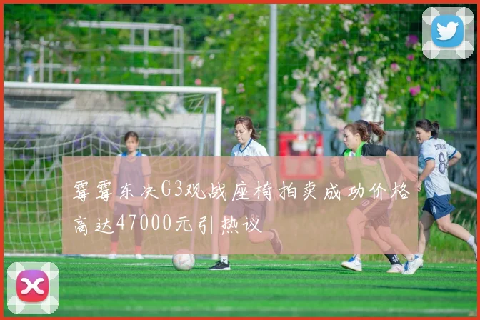 霉霉东决G3观战座椅拍卖成功价格高达47000元引热议